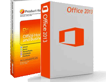 MS Office 2013 OEM